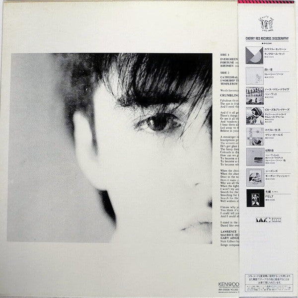 Felt - Crumbling The Antiseptic Beauty (LP, Album, RE)