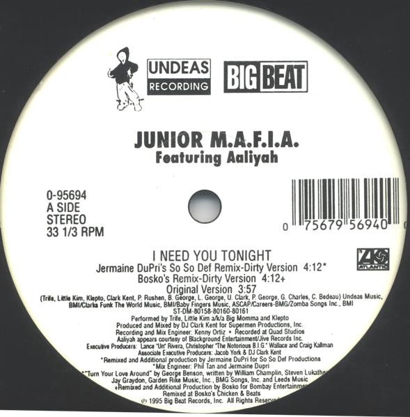 Junior M.A.F.I.A. Featuring Aaliyah - I Need You Tonight (12"", Maxi)
