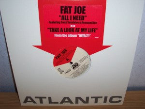Fat Joe - All I Need (12"", Promo)