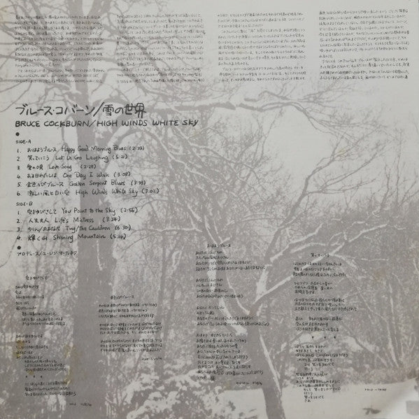 Bruce Cockburn - High Winds White Sky (LP, Album)
