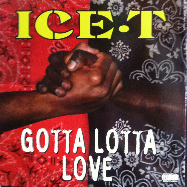 Ice-T - Gotta Lotta Love (12"")