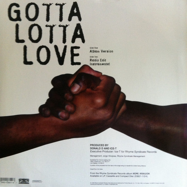 Ice-T - Gotta Lotta Love (12"")