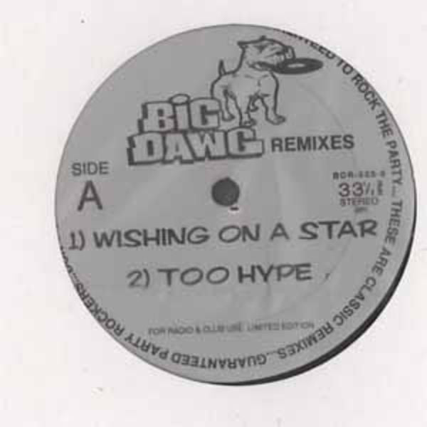 Unknown Artist - Big Dawg Remixes (12"", Ltd)