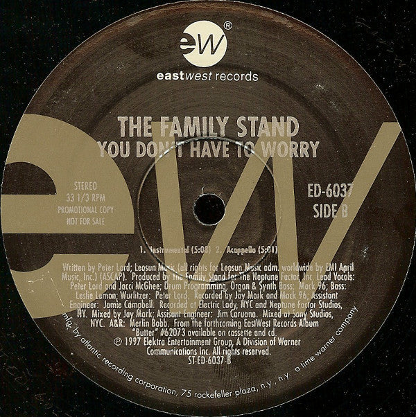 The Family Stand - You Don't Have To Worry (12"", Promo)