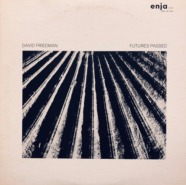 David Friedman - Futures Passed (LP, Album)