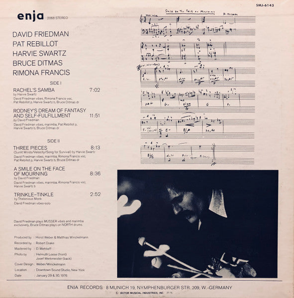 David Friedman - Futures Passed (LP, Album)