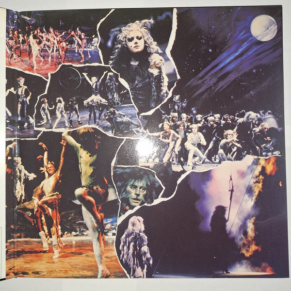 Andrew Lloyd Webber - Cats (2xLP, RE, Gat)