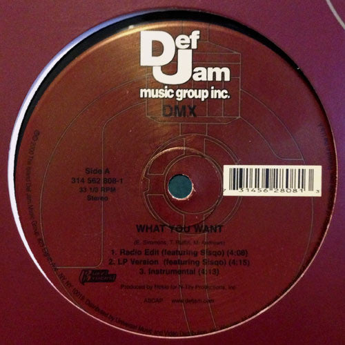 DMX - What You Want (12"")
