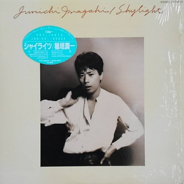 Junichi Inagaki = 稲垣潤一* - Shylights = シャイライツ (LP, Album)