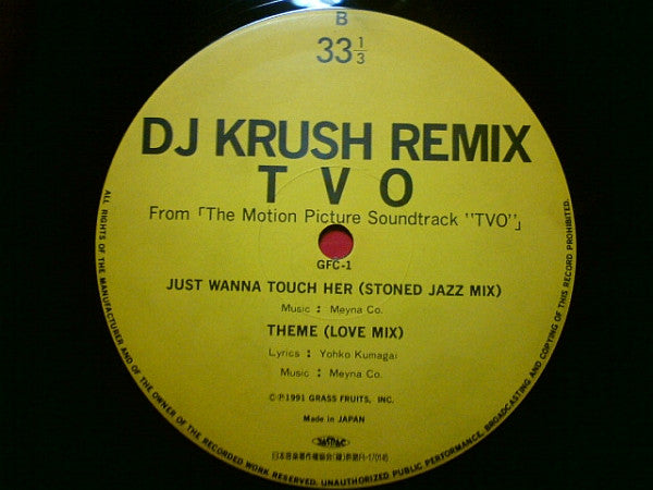 Meyna Co. Featuring Atsushi “木原 孝” Okuno* - From 「The Motion Picture Soundtrack ""TVO""」 (DJ Krush Remix) (12"")