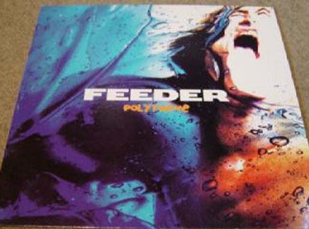 Feeder - Polythene (LP, Album)