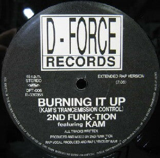 2nd Funk-Tion - Burning It Up (12"")