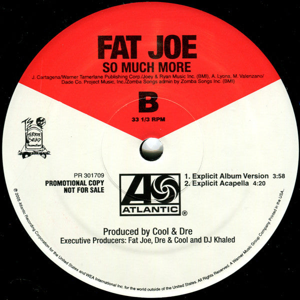 Fat Joe - So Much More (12"", Single, Promo)