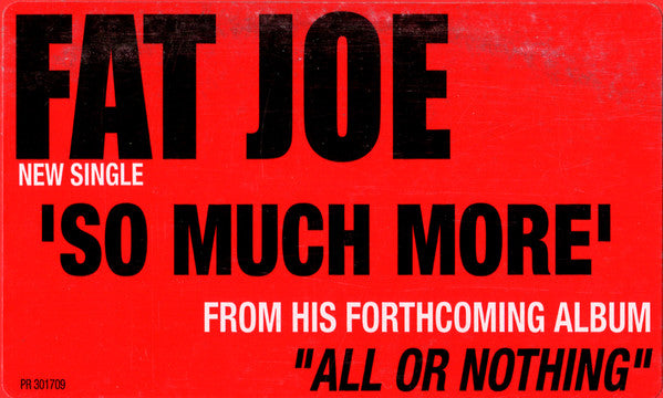 Fat Joe - So Much More (12"", Single, Promo)