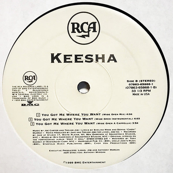 Keesha - You Got Me Where You Want (12")