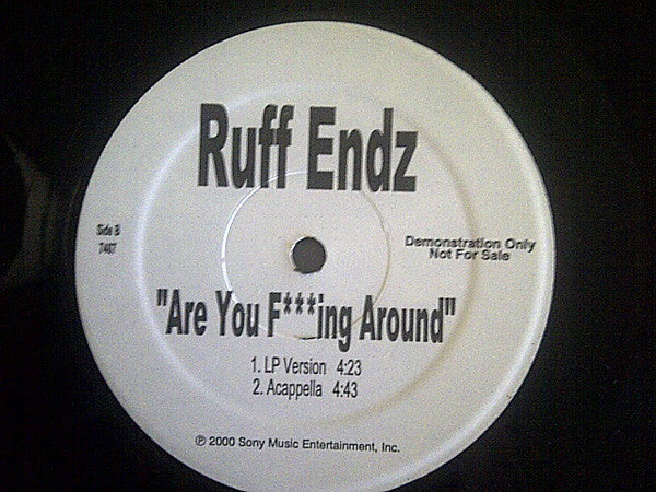 Ruff Endz - Are You F***ing Around (12", Promo)