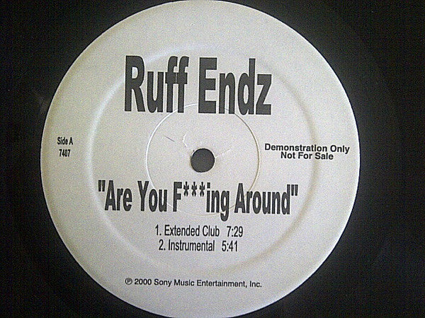 Ruff Endz - Are You F***ing Around (12", Promo)