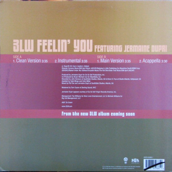 3LW Featuring Jermaine Dupri - Feelin' You (12"", Promo)