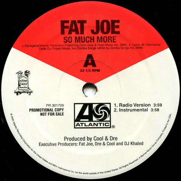 Fat Joe - So Much More (12"", Single, Promo)