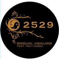 2529 Feat. Rah Digga - Sexual Healing (12"")