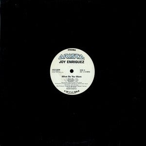 Joy Enriquez - What Do You Want (12"", Promo)