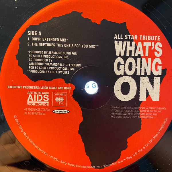 Artists Against AIDS Worldwide - What's Going On (12")