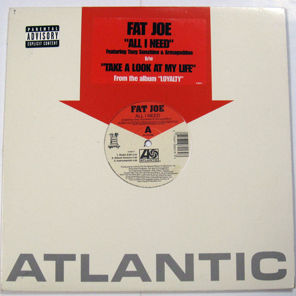 Fat Joe - All I Need / Take A Look At My Life (12"")