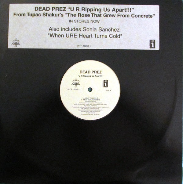 Dead Prez - U R Ripping Us Apart!!! (12"", Promo)