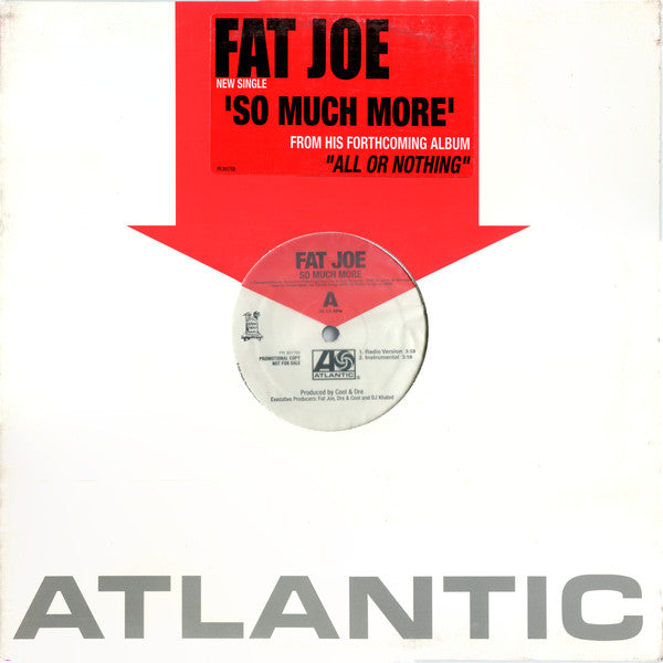 Fat Joe - So Much More (12"", Single, Promo)