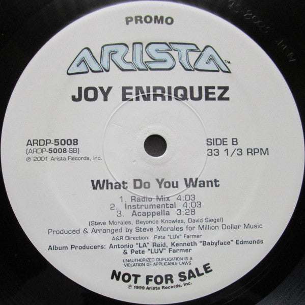 Joy Enriquez - What Do You Want (12"", Promo)