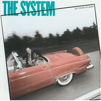 The System - Don't Disturb This Groove (LP, Album, Promo)