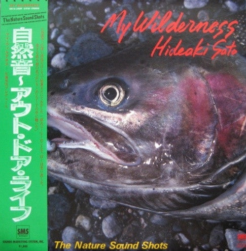 Hideaki Sato - 自然音～アウト・ドア・ライフ = My Wilderness (The Nature Sound Sho...