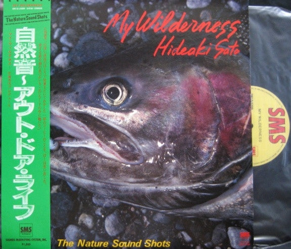 Hideaki Sato - 自然音～アウト・ドア・ライフ = My Wilderness (The Nature Sound Sho...