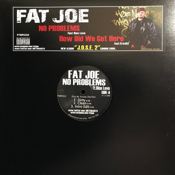 Fat Joe - No Problems / How Did We Get Here (12"", Promo)