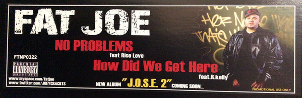 Fat Joe - No Problems / How Did We Get Here (12"", Promo)