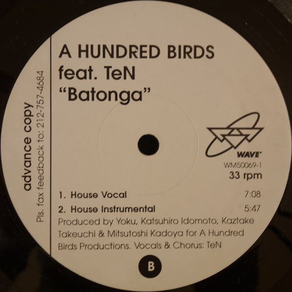 A Hundred Birds Feat. TeN (2) - Batonga (12", Promo)