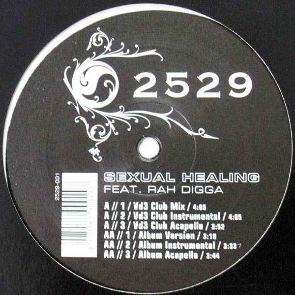 2529 Feat. Rah Digga - Sexual Healing (12"")