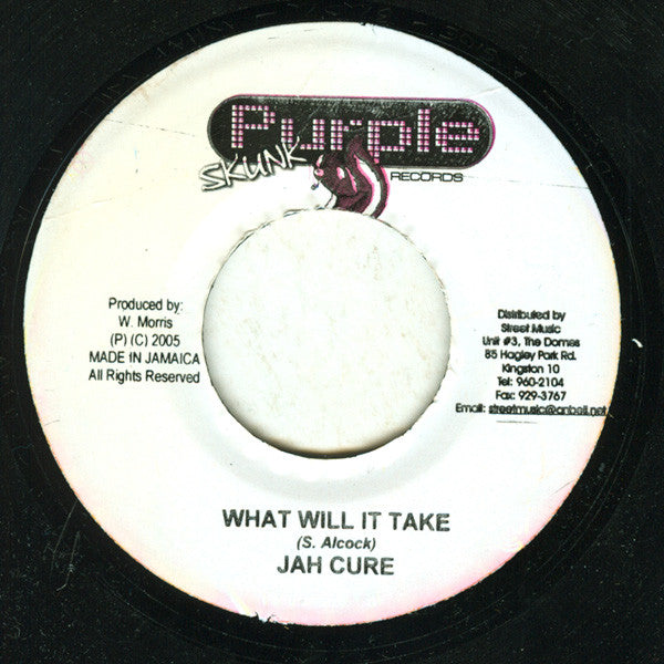Jah Cure - What Will It Take (7"")