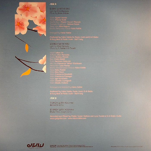 Fabio Nobile - EP Vol.2 - Day What A Day (12"", EP)