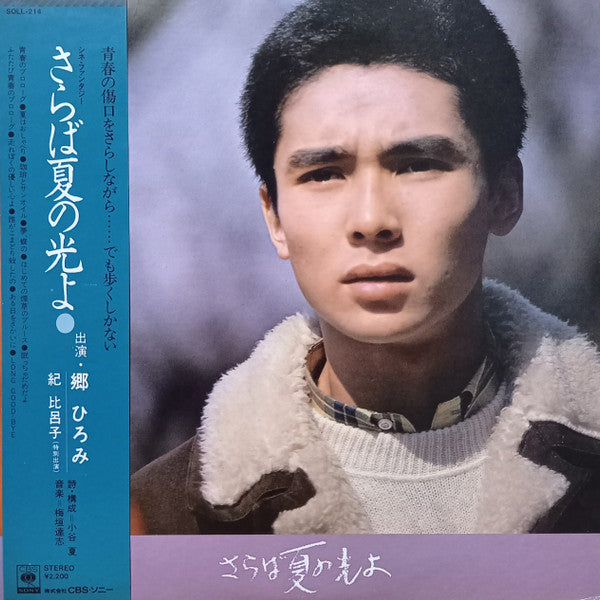 Hiromi Go, Tatsushi Umegaki - さらば夏の光よ (LP, Album)