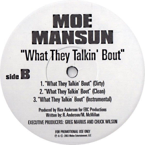 Fat Joe - Can't Be Serious / What They Talkin' Bout(12", Promo)