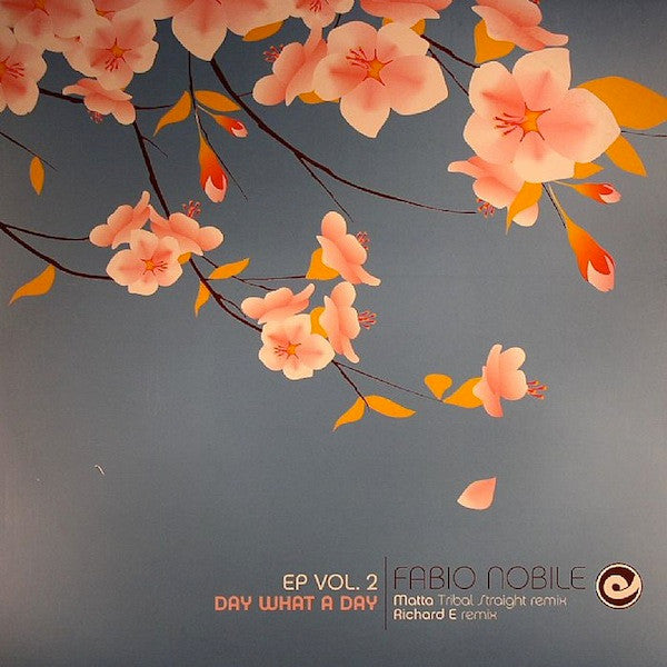 Fabio Nobile - EP Vol.2 - Day What A Day (12"", EP)