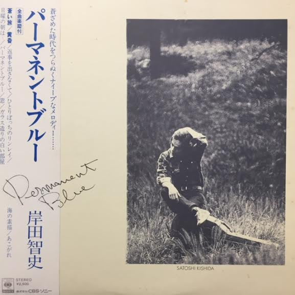 Satoshi Kishida - Permanent Blue (LP)